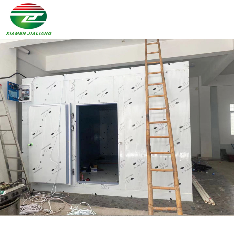 Energy-Saving And Cost-Reducing Commercial 40 Tons Cold Room In Uganda