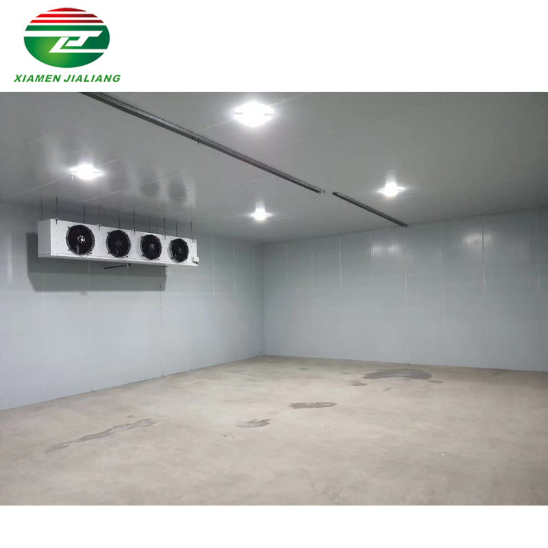 walk in freezer cold room storage