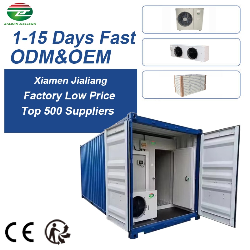 Cold Room Container Freezer 20ft 40ft