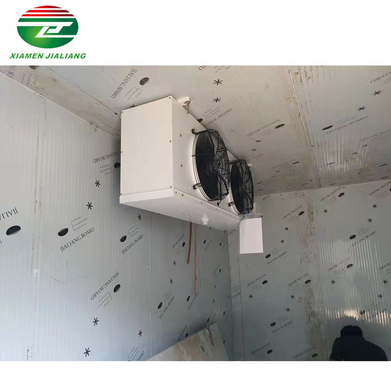 cold room fruit 100 tons capacity