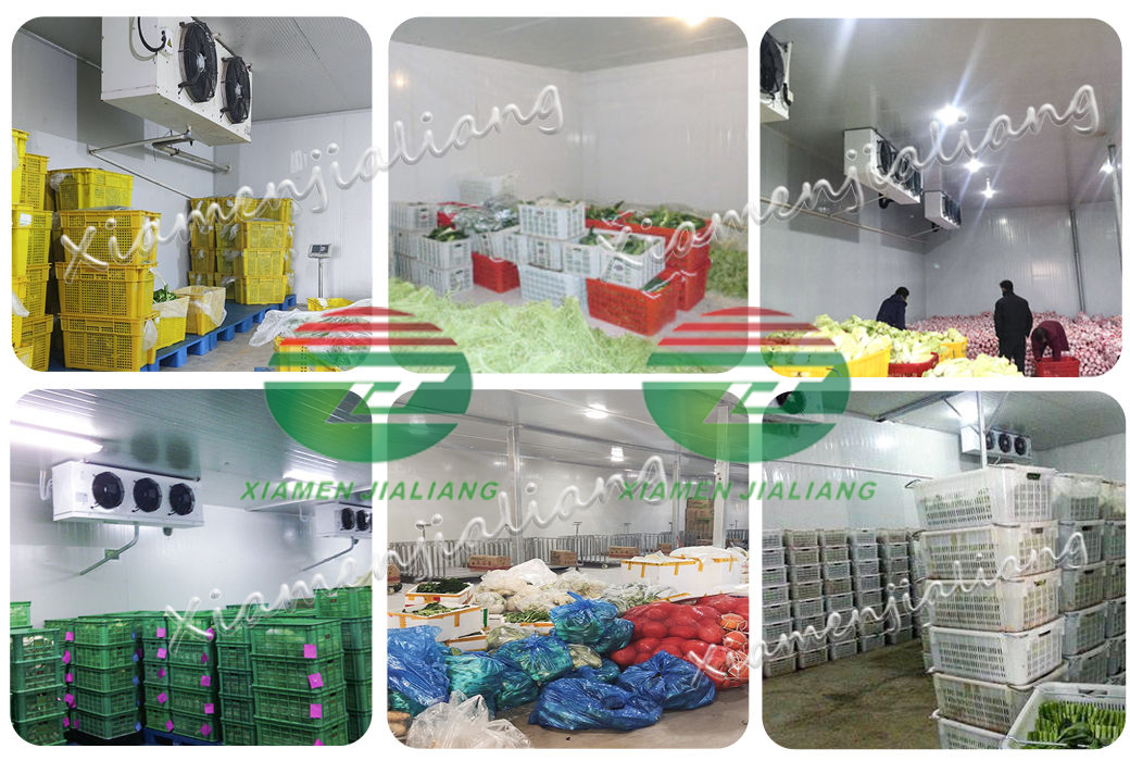 cold room storage price