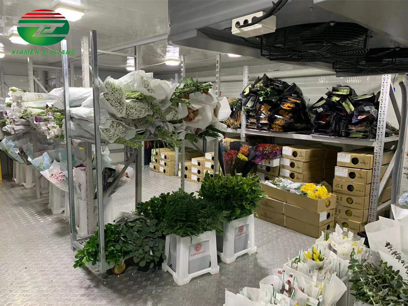 Cold Room Flower Storage