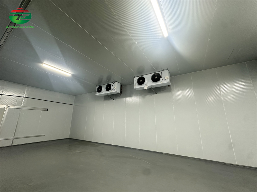 cold room freezer