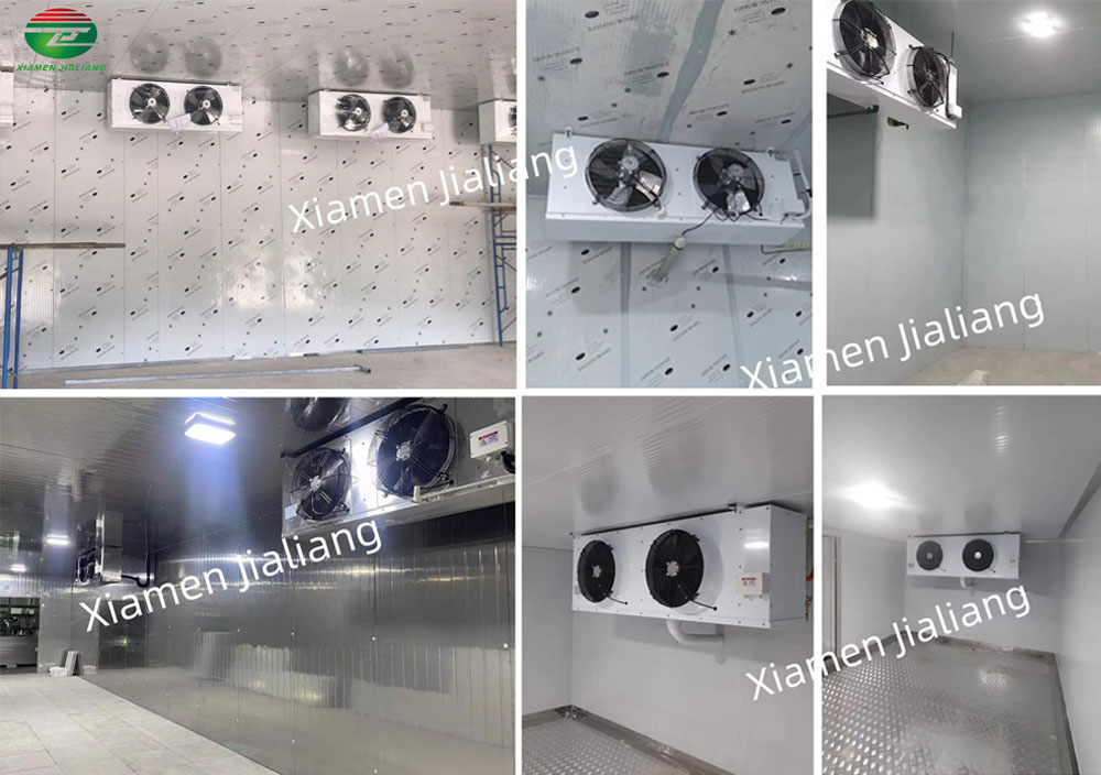 walk in cold room storage