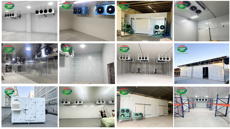 Cold Storage Room for Freezing Meat And Vegetables