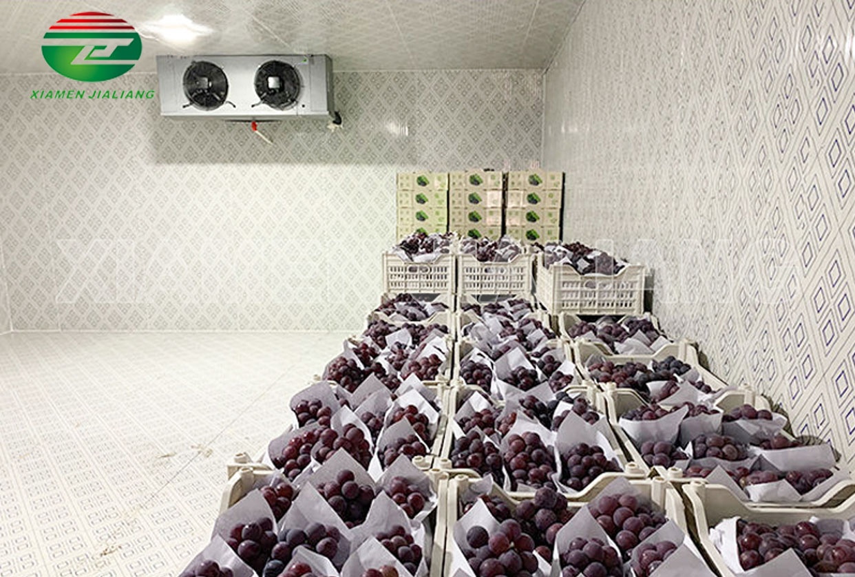 cold room refrigeration for fruits