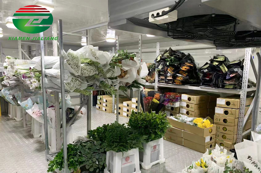 cold room refrigerator freezer