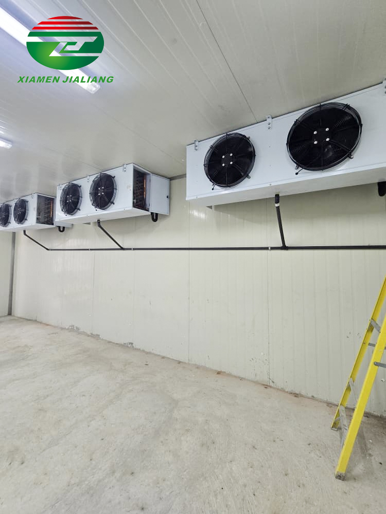 frozen room cold storage