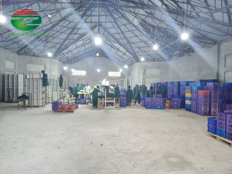 large cold room