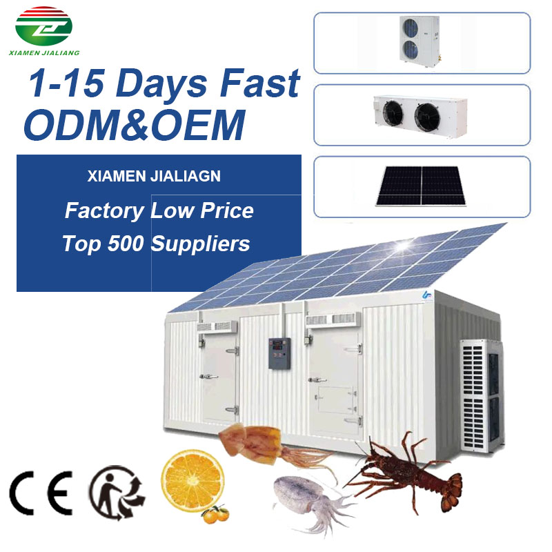 Solar Freezer Room Container