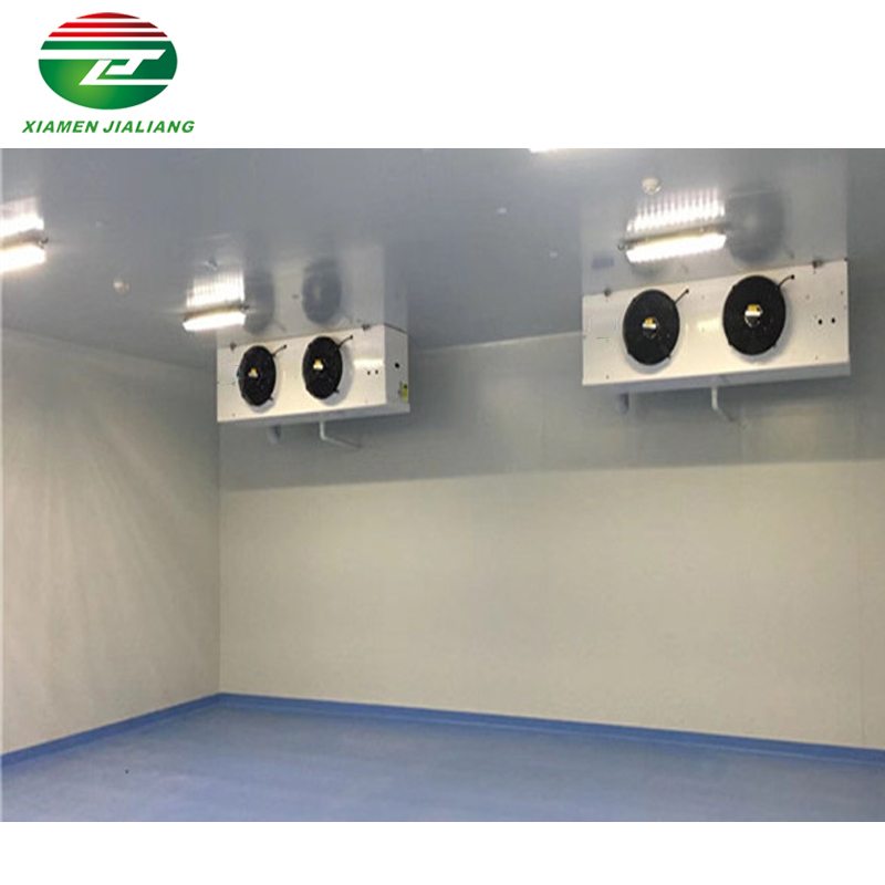 cold room for 10 tons meat